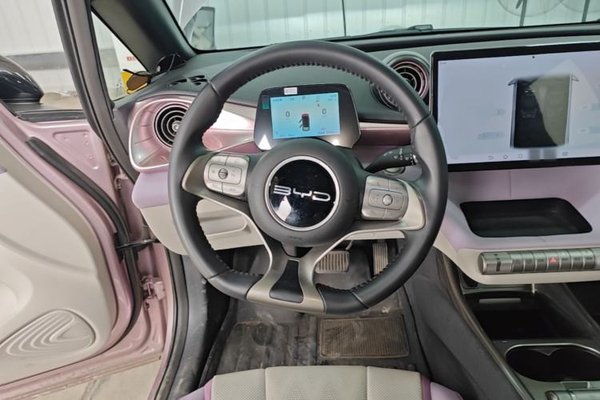 BYD Dolphin 2024, 16299 км, за 11891 USD - фото 14