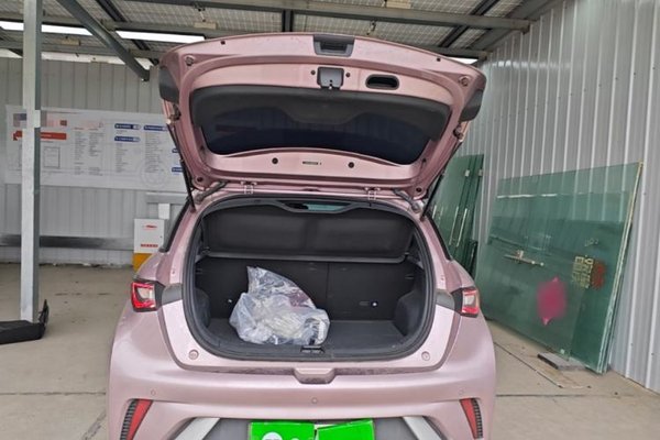 BYD Dolphin 2024, 16299 км, за 11891 USD - фото 22