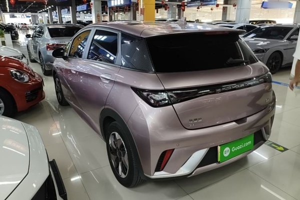 BYD Dolphin 2024, 29400 км, за 11438 USD - фото 7