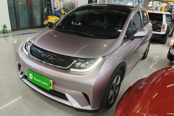 BYD Dolphin · 2024 год
