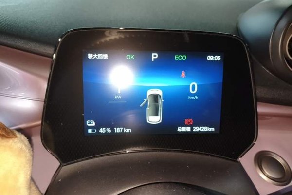 BYD Dolphin 2024, 29400 км, за 11438 USD - фото 13
