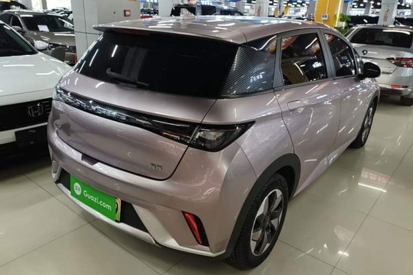 BYD Dolphin 2024, 29400 км, за 11438 USD