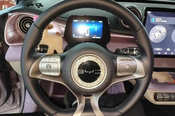 BYD Dolphin 2024, 29400 км, за 11438 USD - фото 12