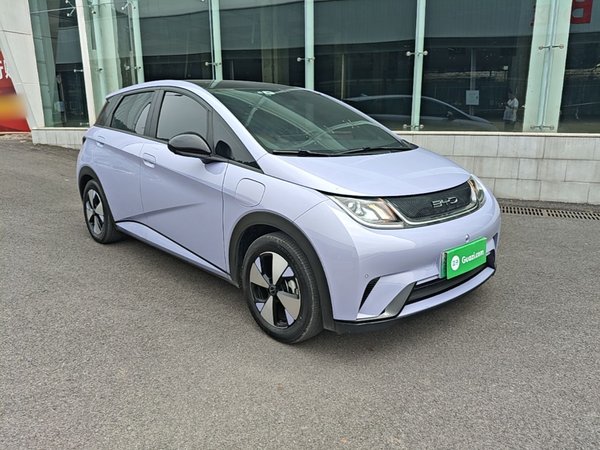 BYD Dolphin 2024, 75000 км, за 10889 USD