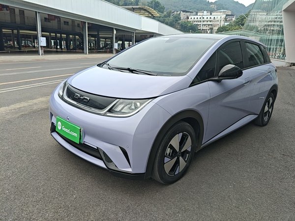 BYD Dolphin · 2024 год