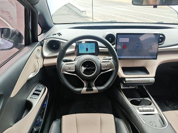 BYD Dolphin 2024, 75000 км, за 10889 USD - фото 14