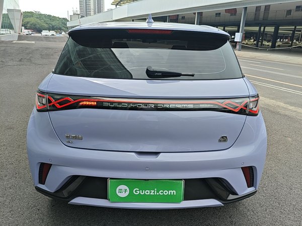 BYD Dolphin 2024, 75000 км, за 10889 USD