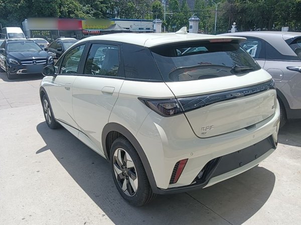 BYD Dolphin 2024, 300 км, за 13379 USD