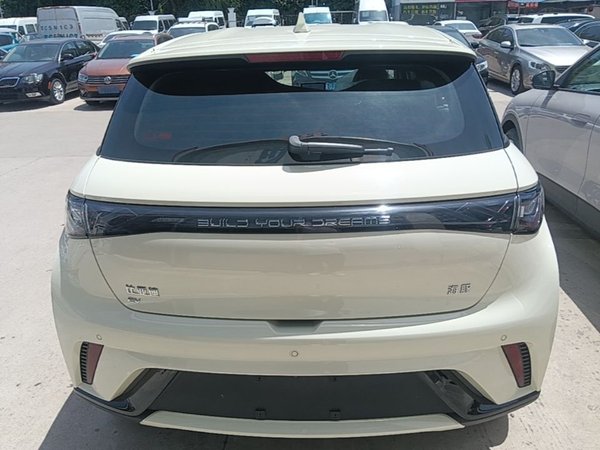 BYD Dolphin 2024, 300 км, за 13379 USD