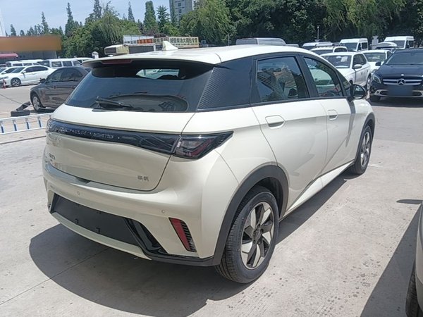 BYD Dolphin 2024, 300 км, за 13379 USD - фото 6