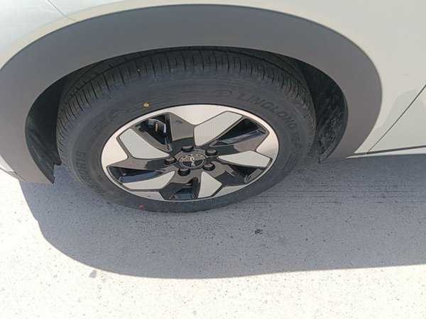 BYD Dolphin 2024, 300 км, за 13379 USD - фото 8