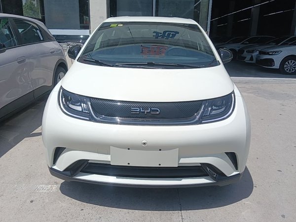 BYD Dolphin 2024, 300 км, за 13379 USD