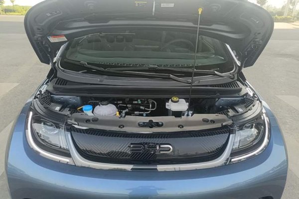 BYD Dolphin 2025, 17000 км, за 11266 USD - фото 24