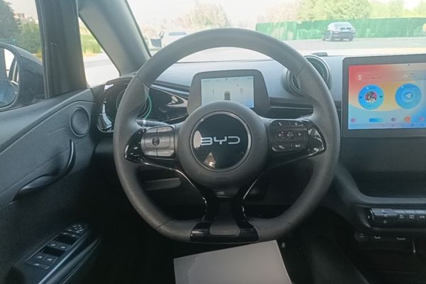 BYD Dolphin 2025, 17000 км, за 11266 USD - фото 13