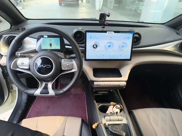 BYD Dolphin 2025, 16400 км, за 11619 USD - фото 13