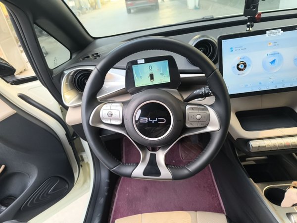 BYD Dolphin 2025, 16400 км, за 11619 USD - фото 14