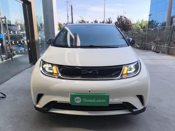 BYD Dolphin 2025, 16400 км, за 11619 USD