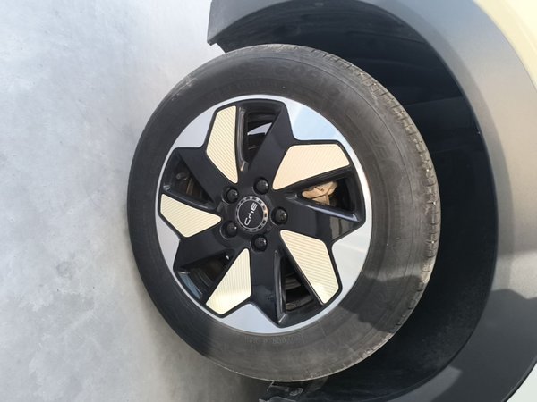 BYD Dolphin 2025, 16400 км, за 11619 USD - фото 10