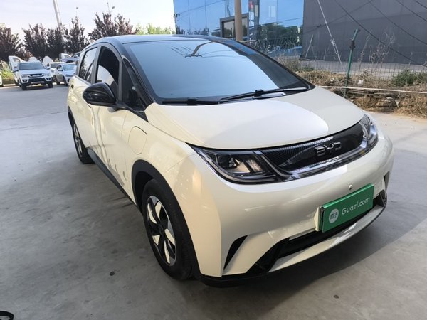 BYD Dolphin 2025, 16400 км, за 11619 USD