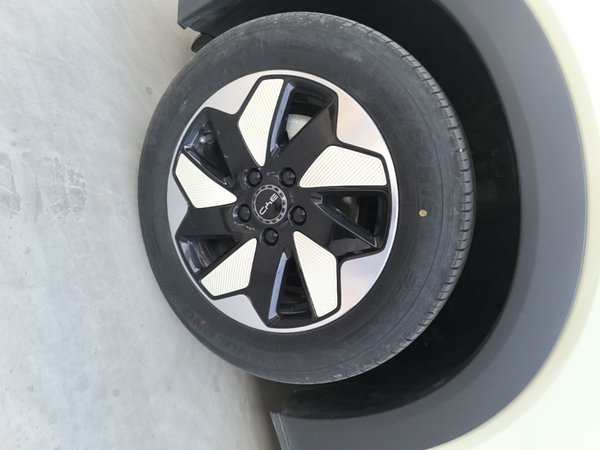 BYD Dolphin 2025, 16400 км, за 11619 USD - фото 8