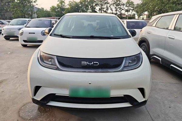 BYD Dolphin 2025, за 13307 USD