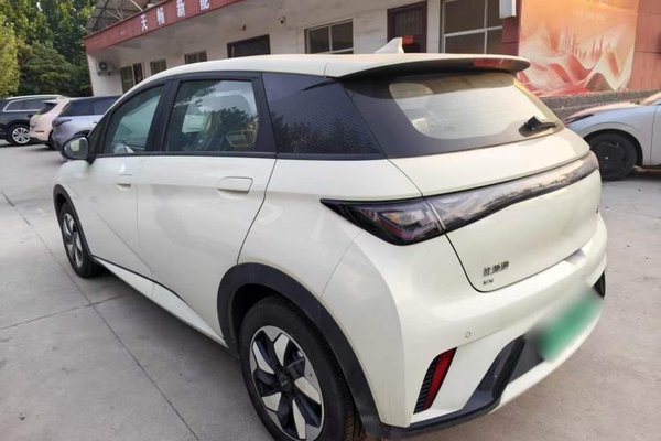 BYD Dolphin 2025, за 13307 USD
