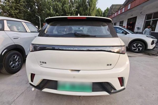 BYD Dolphin 2025, за 13307 USD