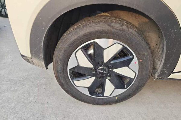 BYD Dolphin 2025, за 13307 USD - фото 10