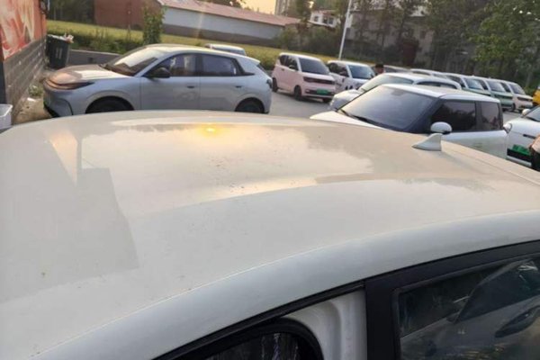 BYD Dolphin 2025, за 13307 USD - фото 11
