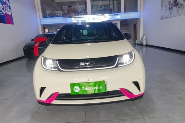BYD Dolphin 2025, 15300 км, за 12257 USD