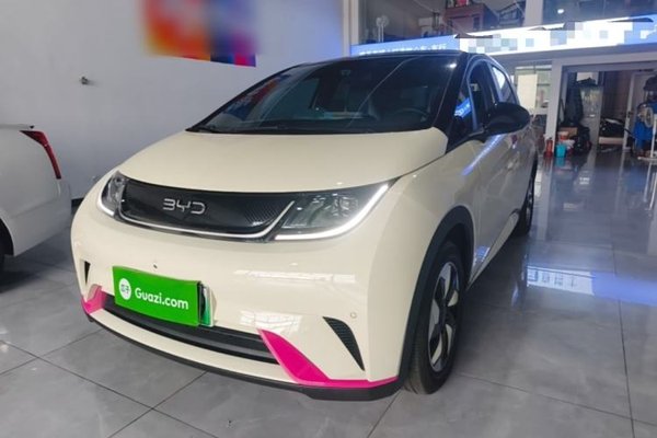 BYD Dolphin · 2025 год