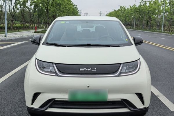 BYD Dolphin 2025, 2800 км, за 14042 USD - фото 8