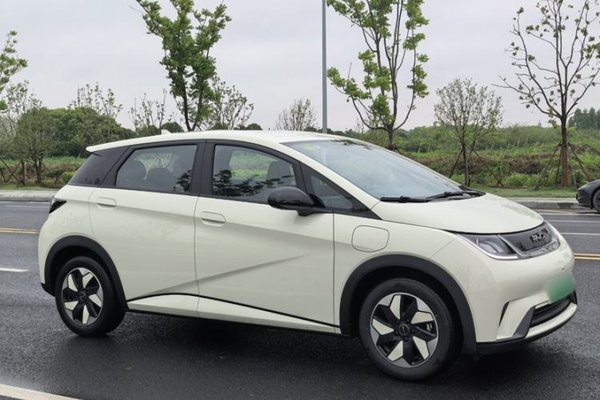 BYD Dolphin 2025, 2800 км, за 14042 USD - фото 10