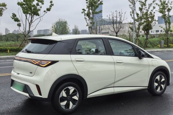 BYD Dolphin 2025, 2800 км, за 14042 USD - фото 11