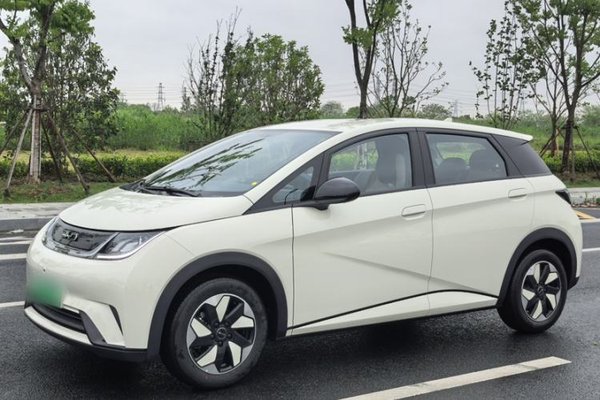 BYD Dolphin · 2025 год