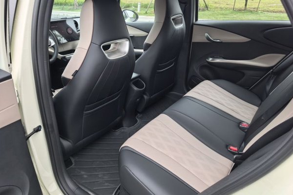 BYD Dolphin 2025, 2800 км, за 14042 USD - фото 23