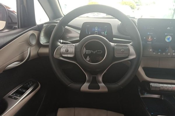 BYD Dolphin 2025, 2800 км, за 14042 USD - фото 13