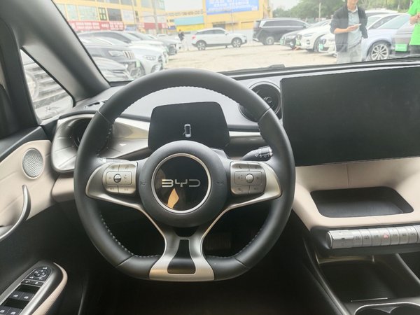 BYD Dolphin 2025, 32800 км, за 10860 USD - фото 8