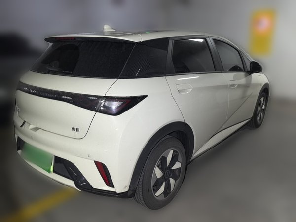 BYD Dolphin 2025, 32800 км, за 10860 USD