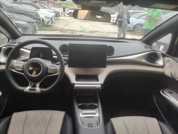 BYD Dolphin 2025, 32800 км, за 10860 USD - фото 7