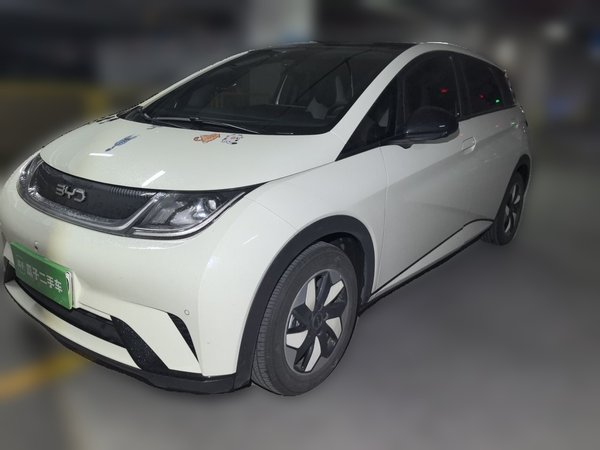 BYD Dolphin · 2025 год