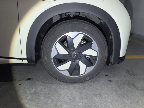BYD Dolphin 2025, 32800 км, за 10860 USD