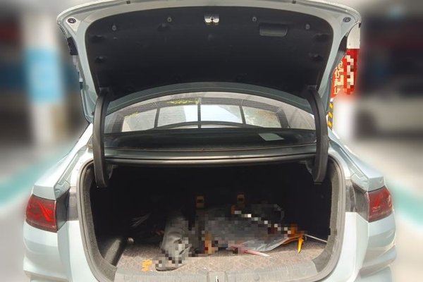 BYD Qin L 2024, 50800 км, за 12125 USD - фото 16
