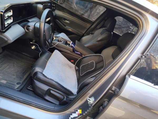 BYD Qin L 2024, 53900 км, за 9952 USD - фото 10