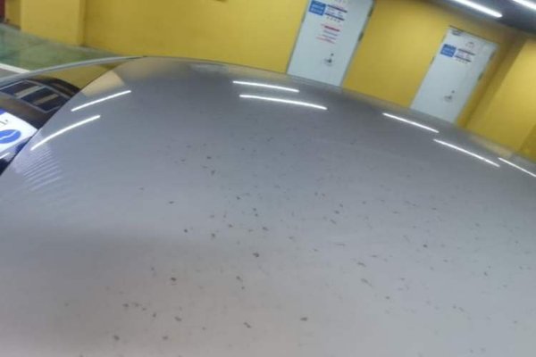 BYD Qin L 2024, 3900 км, за 10988 USD - фото 11