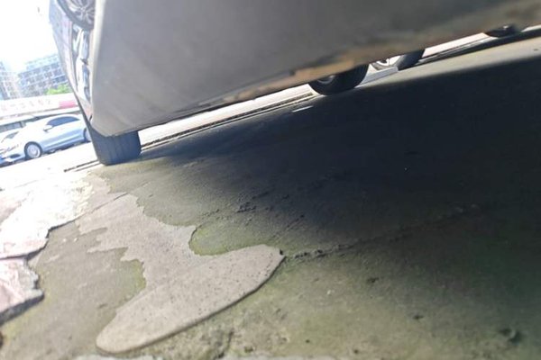 BYD Qin L 2025, 14300 км, за 15507 USD - фото 31