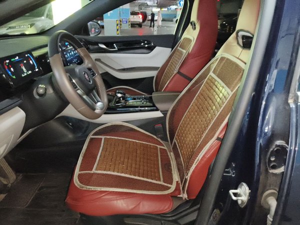 BYD Qin PLUS 2021, 25299 км, за 7797 USD - фото 16