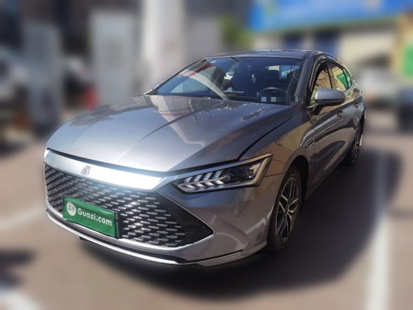 BYD Qin PLUS · 2021 год