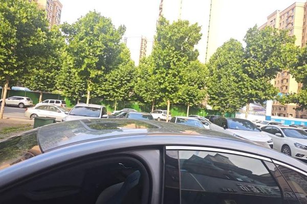 BYD Qin PLUS 2021, 31000 км, за 8875 USD - фото 7