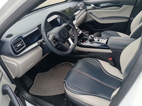 BYD Qin PLUS 2021, 30300 км, за 8514 USD - фото 18